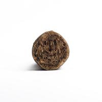 Alec Bradley Orchant Seleccion Pointy Cigar - 1 Single